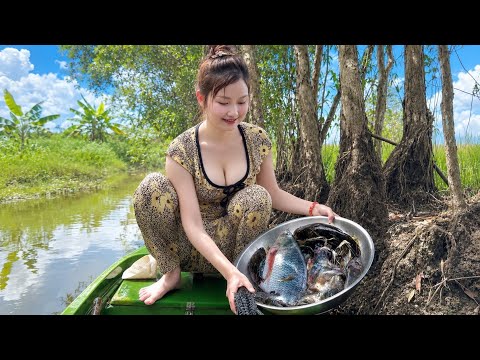 Trúng Con Nước Cá Bống Dính Bẫy Quậy Thấy Mà Ham Trúc