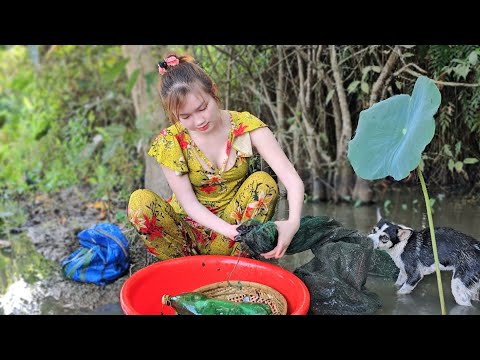 Săn Cá Trong Rừng Già Nơi Hội Tụ Nhiều Loại Cá Lớn Trúc