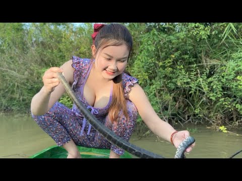 Rắn Ri Cá Loài Săn Mồi Dưới Nước Bật Nhất Kênh 300 Trúc