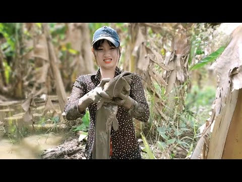 Thôn Nữ Đào Hang Bắt Cá Siêu To Khổng Lồ Tu Luyện Thành