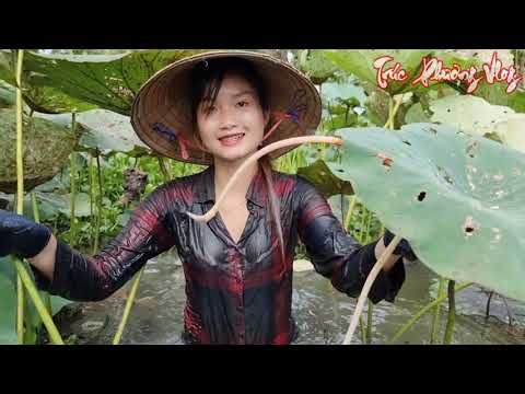 Trúc Phương Săn Tìm Nhân Sâm Nước Trong Ao Sen Khủng Đất