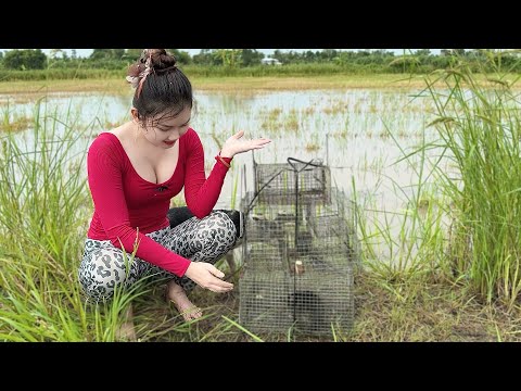 Bẫy CỐNG NHUM tìm săn mồi trên gò đất cao trúng lớn mà mê