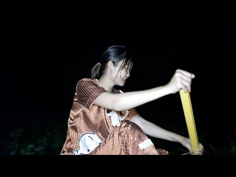 Bắt Cá Lóc Lẫn Cá Trê Trên Sông Miền Tây Trúc Phương Vlog