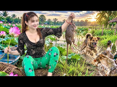 Bẫy CHUỘT CỐNG NHUM Ven Bờ Sen Con Nào Cũng Bự Hết Hồn 1