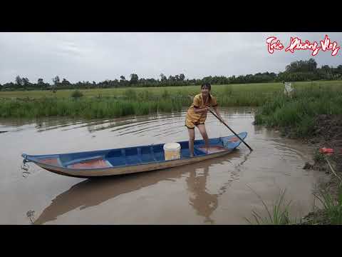 Cỏ U Du Nơi Của Những Loài Lươn Khủng Ngự Trị Trúc Phương