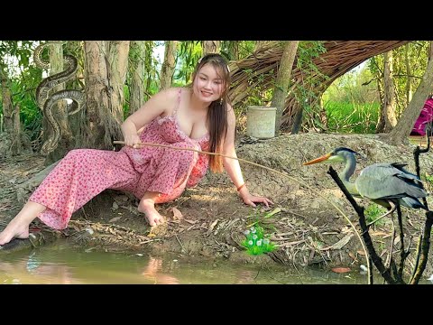 4 Ngày Đêm Sinh Tồn Săn Cá Bắt Rắn Chim Dưới Tán Tràm Rừng