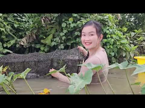 Bẫy 12 cửa bắt cá Thác Lác Cườm dài hơn ba gang tay Trúc