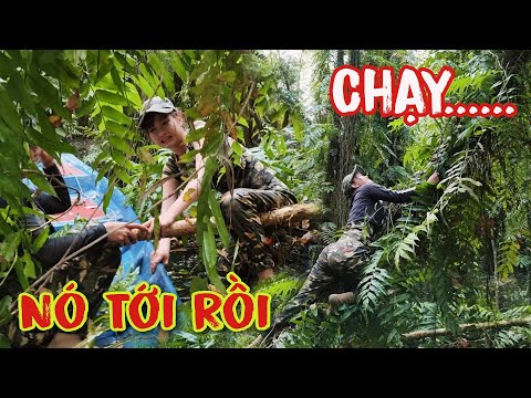 Trúc Phương Vlog Gặp Nguy Hiểm Khi Băng Rừng Bẫy Cá Sinh