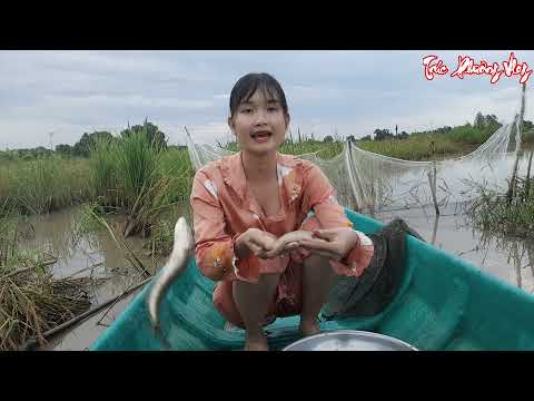 Thôn Nữ Hạ Thủy Ghe 1 Tấn Trở Lại Khu Cỏ U Du Trúng Lớn Với