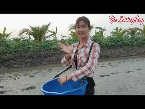 Thôn Nữ Bắt Đầu Công Việc Mới Sạ Lúa Cực Sốc Trên Cánh Đồng