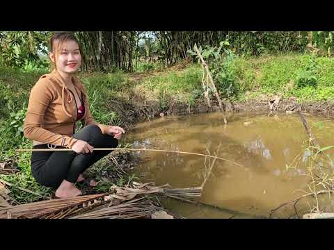 Câu Cá Rô Đồng Tại Kinh Cùng Săn Con Cá Lớn Cuối Mùa Nước