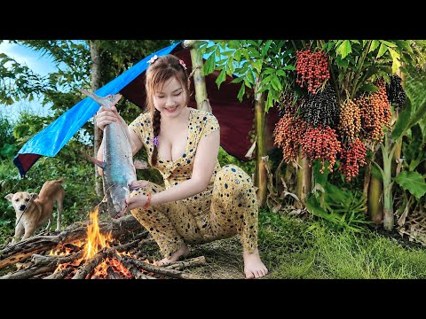 Dựng Liều Bắt Cá Dưới Gốc Đủng Đỉnh QUÁI CÁ Lôi Mất Cần