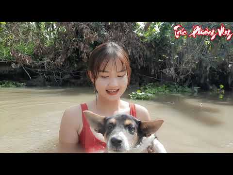 Thôn Nữ Huấn Luyện Chó Đi Săn Thử Thách Thành Viên Mới Trên