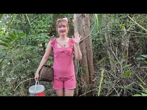 Lội Nước Bắt Ếch Già Khủng Lồ Giữa Rừng Thiên Bí Ẩn Trúc