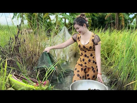 Chặn Dớn Bích Ngách 2 Mương Săn Bắt Cá Trong Ruộng Lúa Chín