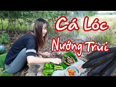 Cá lóc nướng trui đặc sản Miền Tây Trúc Phương Vlog The