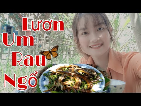 Đặc Sản Quê Nhà Lươn Um Rau Ngổ Tại Nhà Miền Tây Trúc