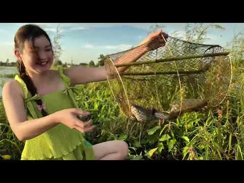 Bất Ngờ Săn Bầy Cá Lóc Lớn Vô Tung Lờ Ngay Khu Cỏ Nước Trúc