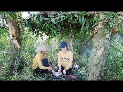 Thôn Nữ Giăng Lưới Bắt Cá Dựng Lều Sinh Tồn Và Cái Kết Đạm