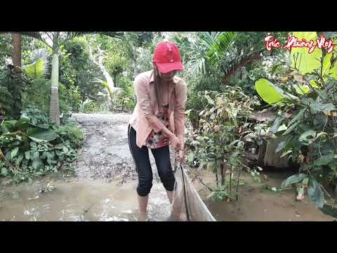 Thôn Nữ Đặt Dớn Trong Nhà Mùa Nước Nổi Đầy Thú Vị Kết Quả