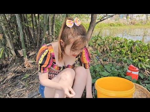 CÂU CÁ MÙA KHÔ 2 Mẹ Con Chiên Vàng CUỘN LÁ SEN NON Trúc