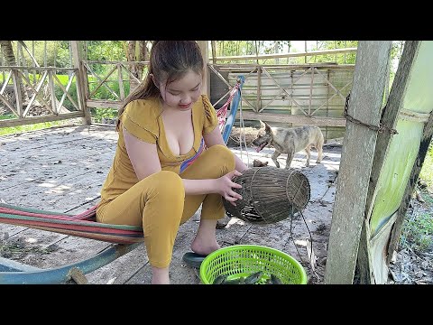 Nhử Mồi Câu Bầy Cá Dưới Tán Cây Dừa Lôi Phao Mỗi Phát Trúc