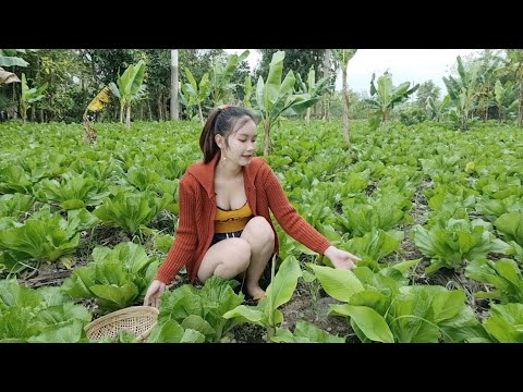 Cá Đồng Kho Trái Giác Bữa Cơm Quê Ấm Áp Cuối Năm Khiến Ai