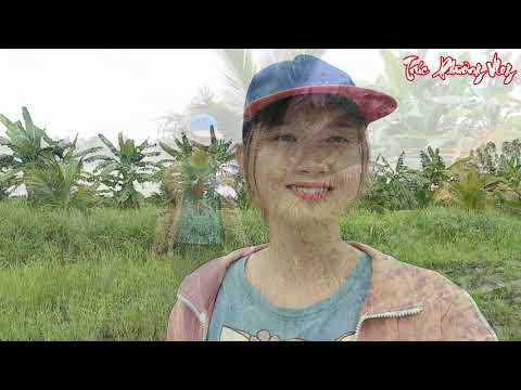 Ra Đồng Gặp Cảnh Này Thôn Nữ Nên Khóc Hay Nên Cười Trúc
