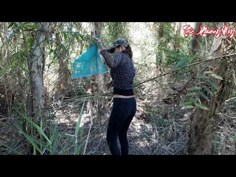 Thôn Nữ Bắt Cá Trong Hố Thần Kỳ Kinh Hoàng Gặp Rắn Đen Trú