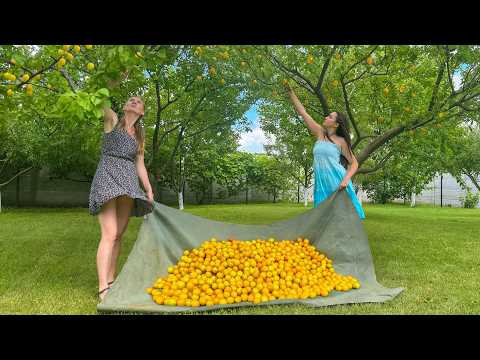 Homemade Outdoor Recipes Using Only Natural Ingredients