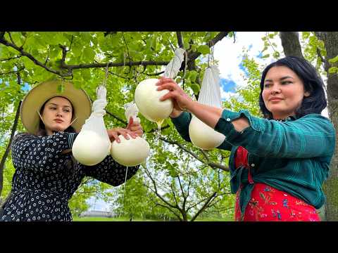 Turning Fresh Cow s Milk Into Cheese Old Way Still Works