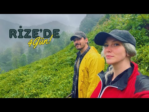 RİZE VLOG Rize de 4 Gün Yaban Domuzu Görüntüledik Çay
