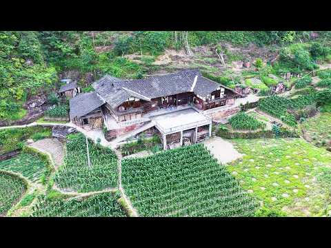 世外桃源 四川深山发现一户人家竟独自隐居在峡谷里 与世无争 A sichuanfamily lives alone