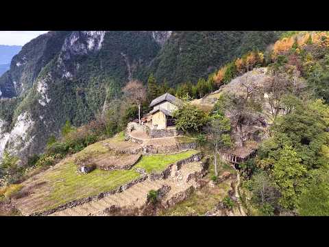 湖北深山里 竟发现一大叔独居在海拔1000多米的山梁上 四周荒无人烟与世隔绝 A family was