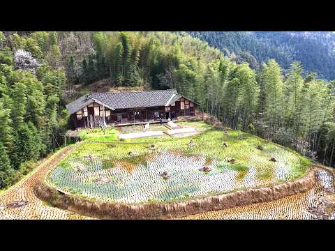 四川一七旬老人竟独自隐居在深山里 四周方圆几里荒无人烟 环境与世隔绝宛如世外桃源 A Sichuan family