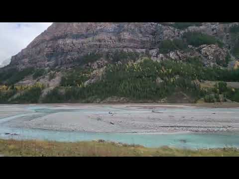 Field British Columbia October 2 2024