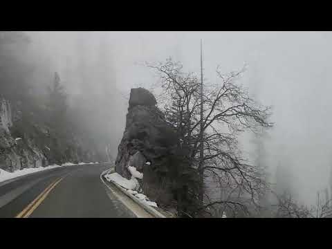 Sequoia National Park May 2024