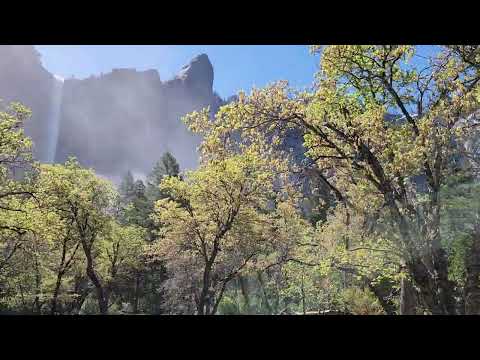 Yosemite National Park May 2024