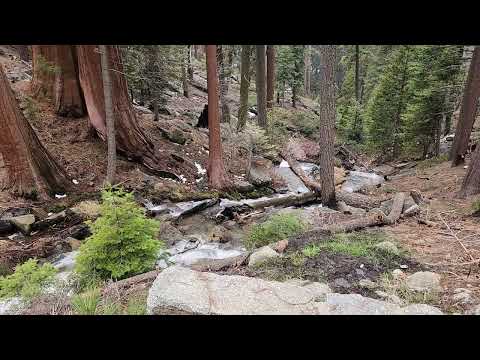 Sequoia National Park May 7 2024