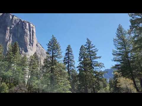 Yosemite national park