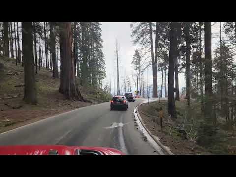 Sequoia National Park May 7 2024