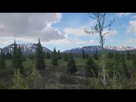 Healy Alaska June 12 2026