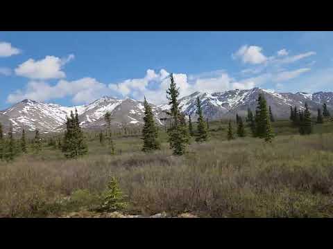 Healy Alaska June 12