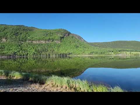 Toad River June 8 2026