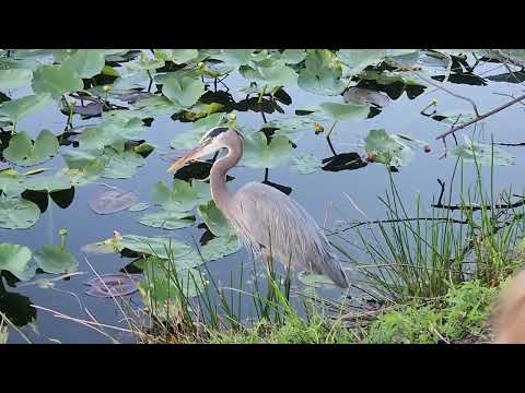 Everglades National Park Feb 26 2025