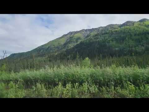 June 10 2026 Beaver Creek Alaska