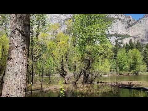 Yosemite National Park May 2024