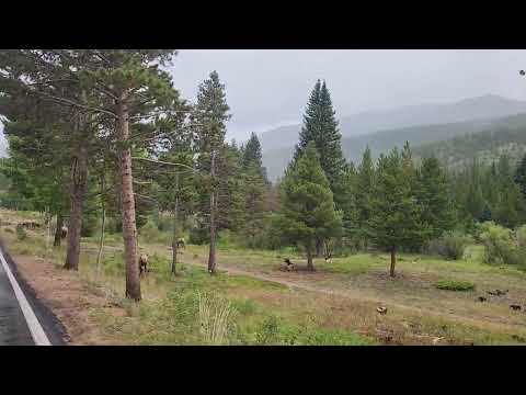 Rocky Mountain National Park Aug 30 2025