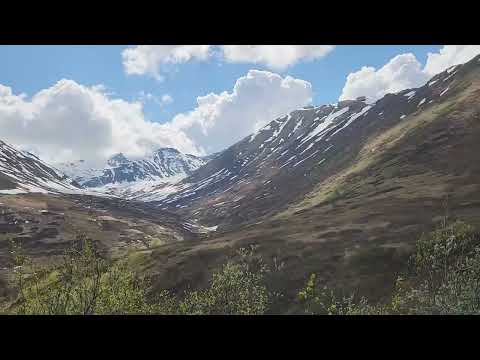 Palmer Alaska June 12 2026