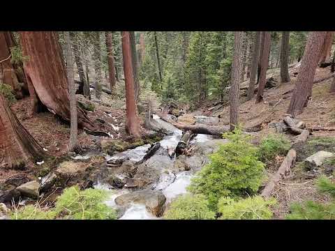 Sequoia National Park May 7 2024